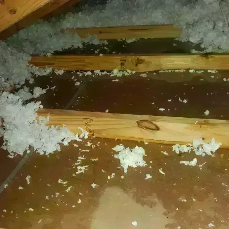 Attic Water Damage in Cass County, MN