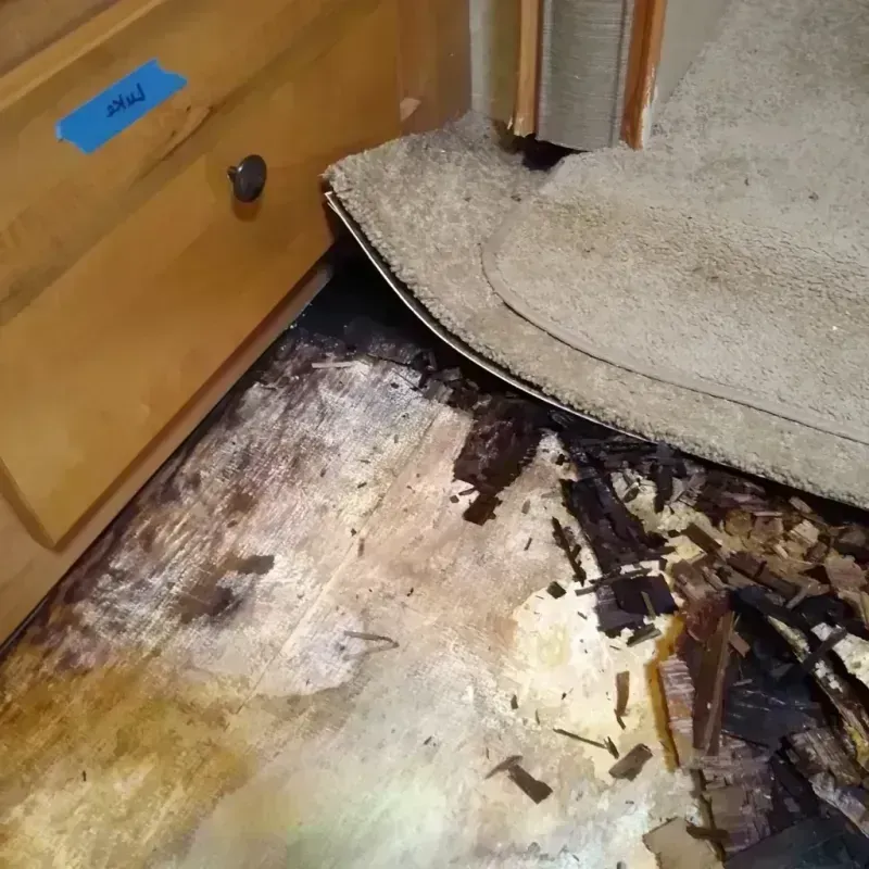 Wood Floor Water Damage in Cass County, MN